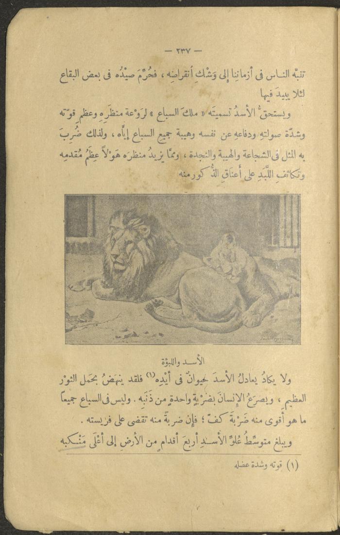 A Book Titled 