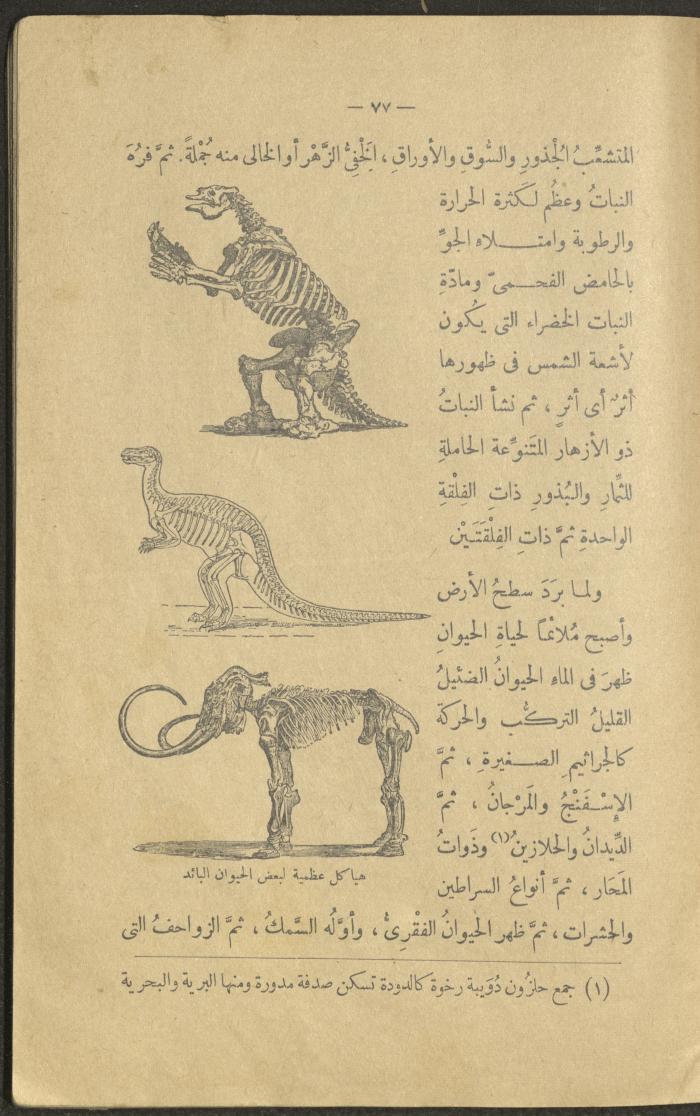 A Book Titled 