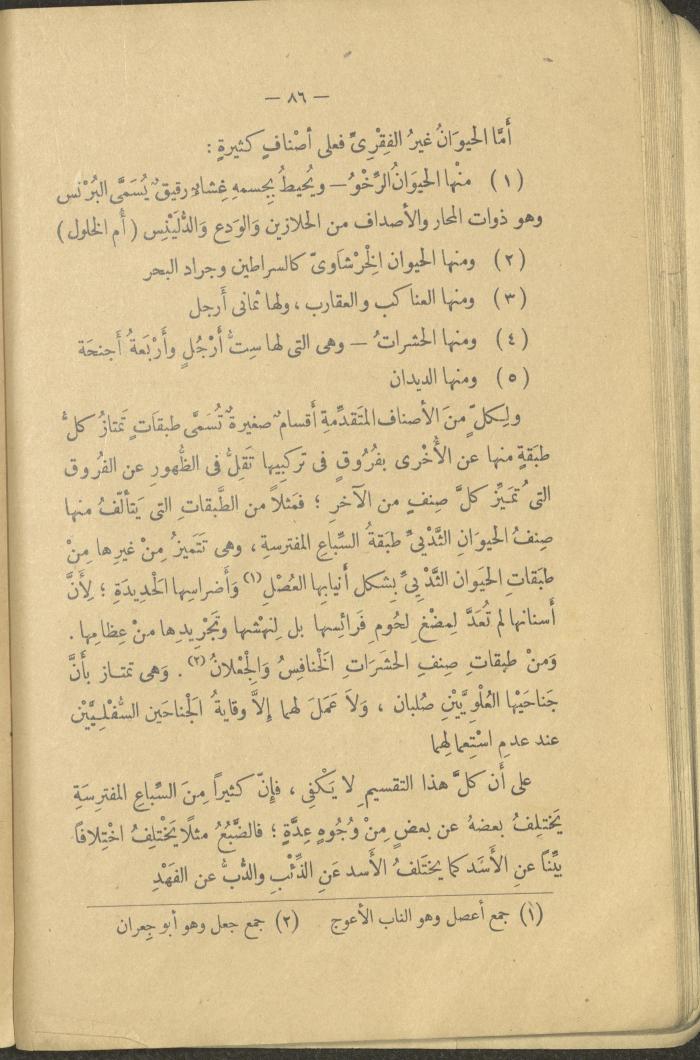 A Book Titled 