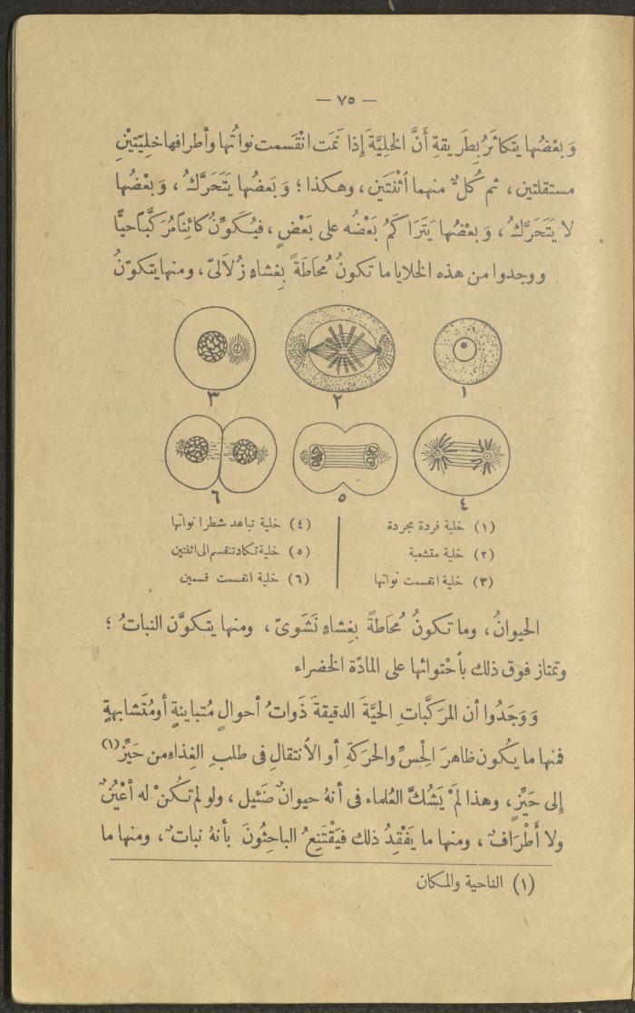 A Book Titled 