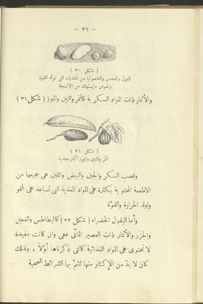 The Book 