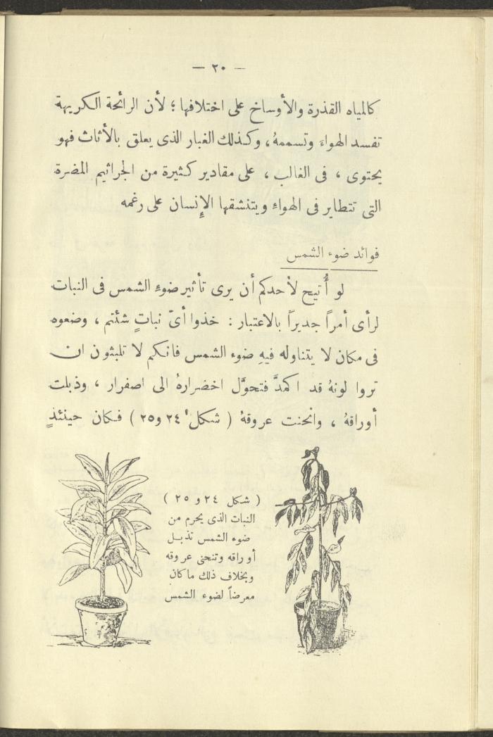 The Book 