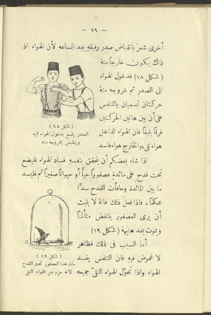 The Book 