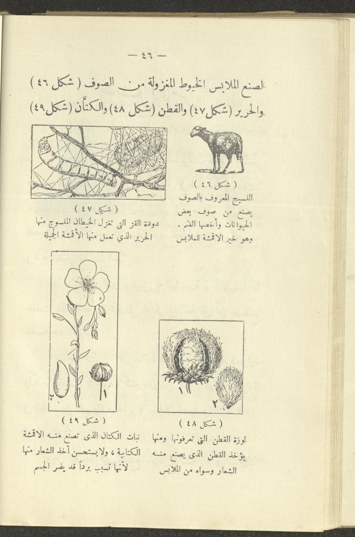 The Book 
