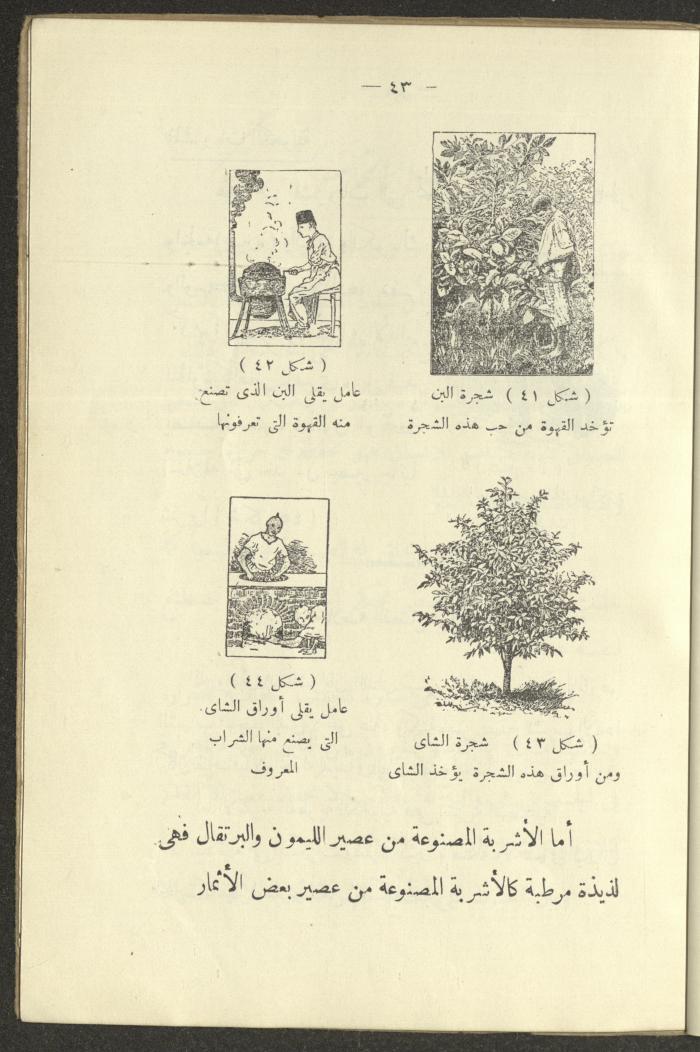 The Book 
