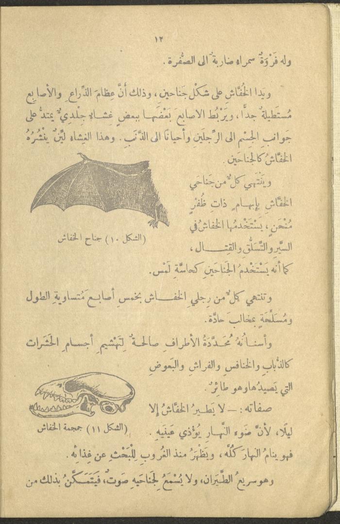 A Book in New Sciences, the 1920s and 1940s 