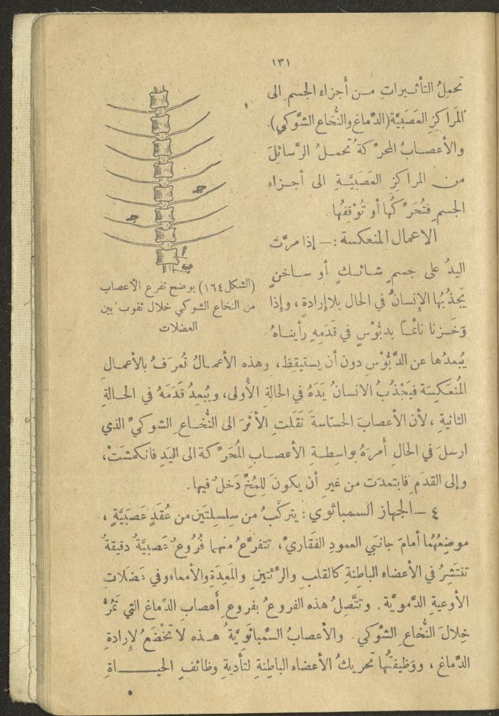 A Book in New Sciences, the 1920s and 1940s 