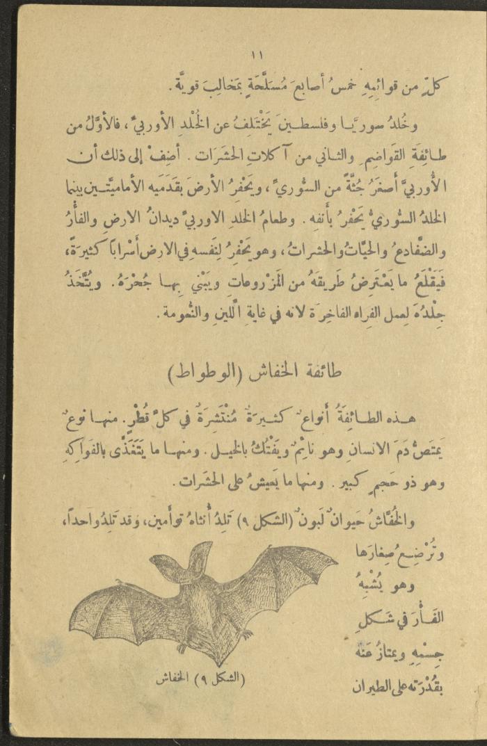 A Book in New Sciences, the 1920s and 1940s 