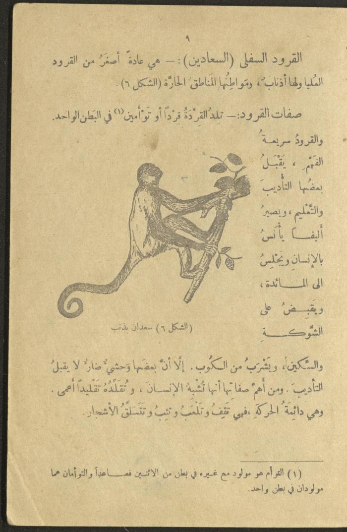 A Book in New Sciences, the 1920s and 1940s 