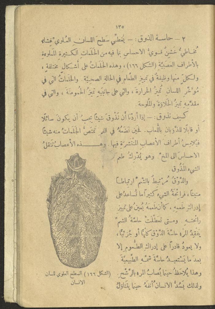 A Book in New Sciences, the 1920s and 1940s 
