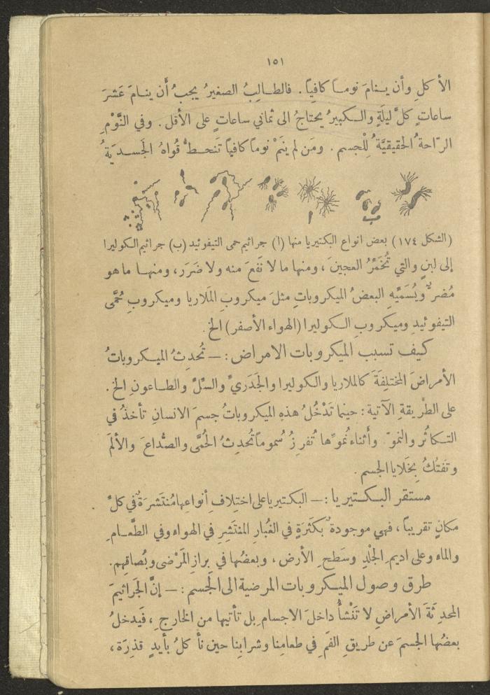 A Book in New Sciences, the 1920s and 1940s 