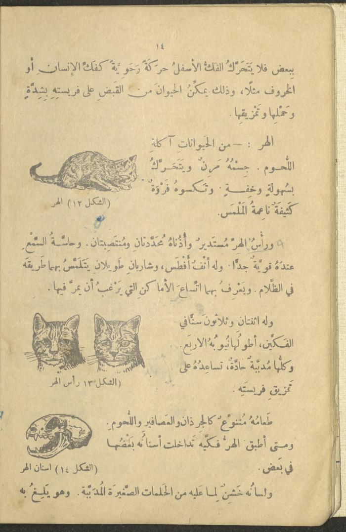 A Book in New Sciences, the 1920s and 1940s 