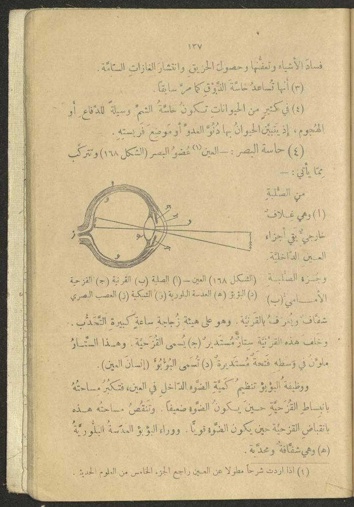A Book in New Sciences, the 1920s and 1940s 