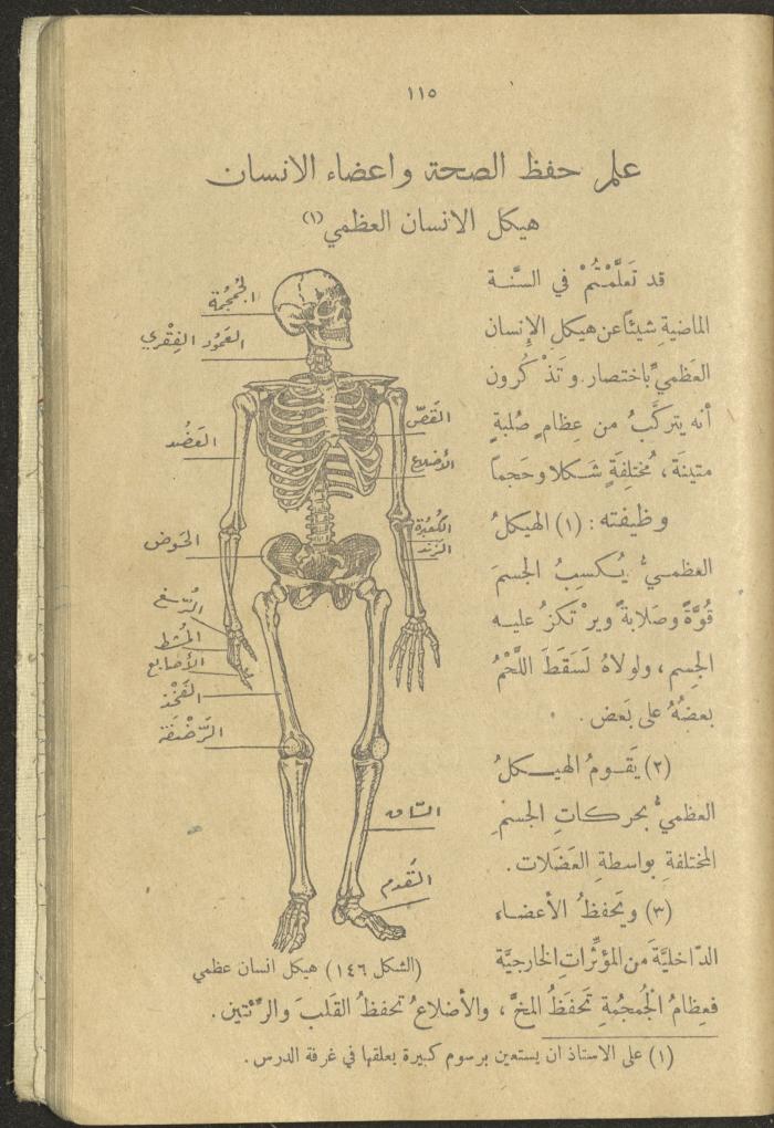 A Book in New Sciences, the 1920s and 1940s 