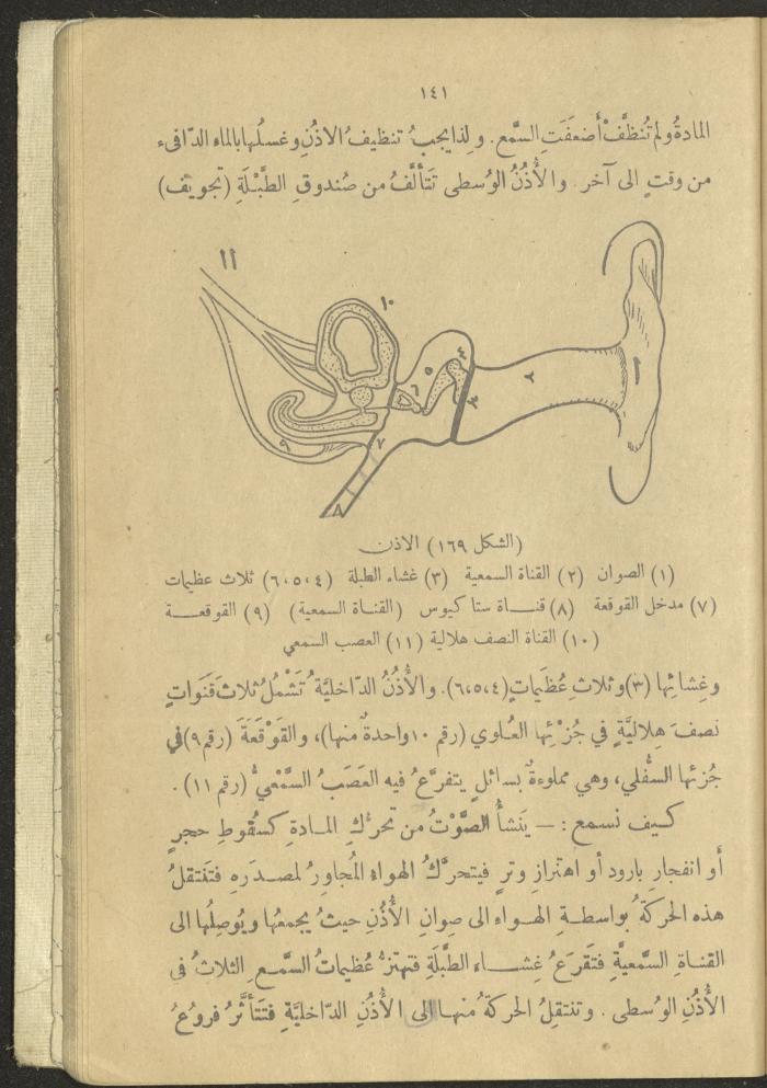 A Book in New Sciences, the 1920s and 1940s 