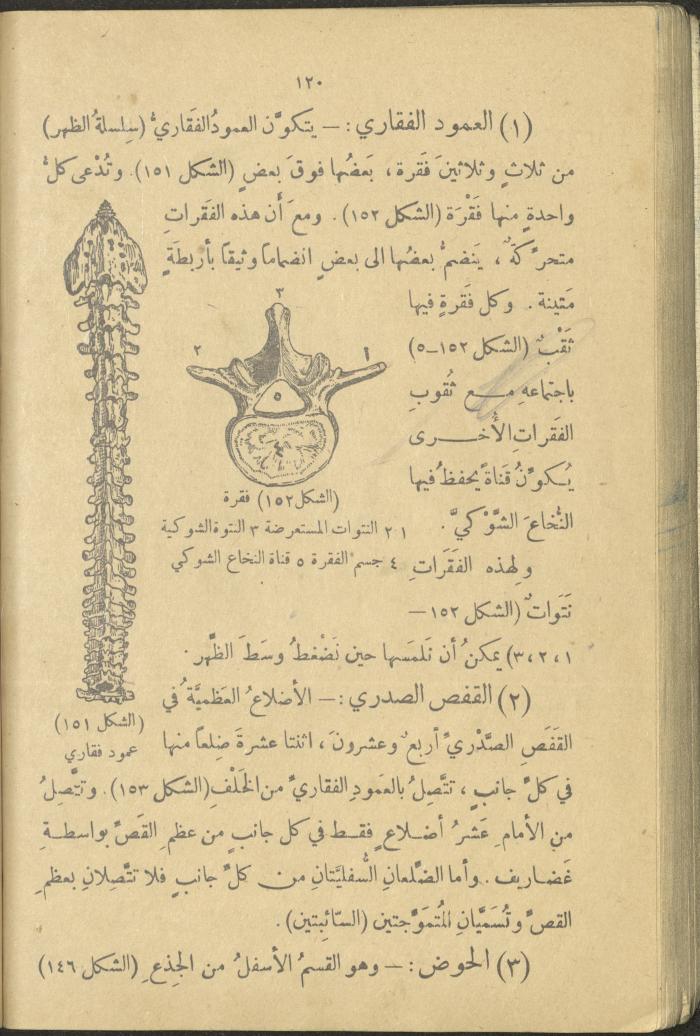 A Book in New Sciences, the 1920s and 1940s 