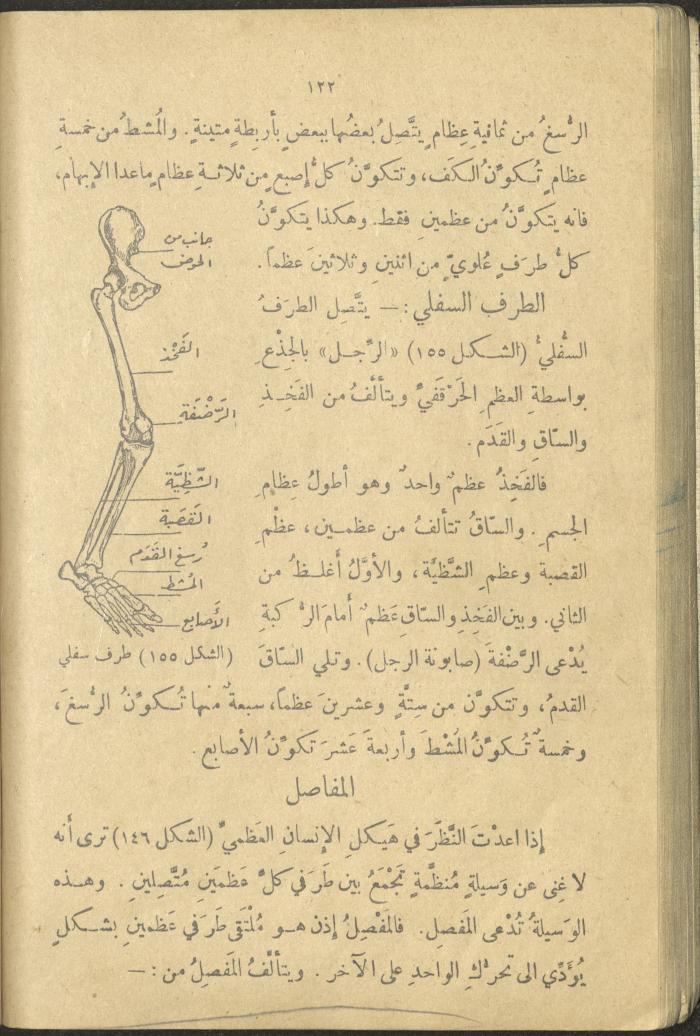 A Book in New Sciences, the 1920s and 1940s 
