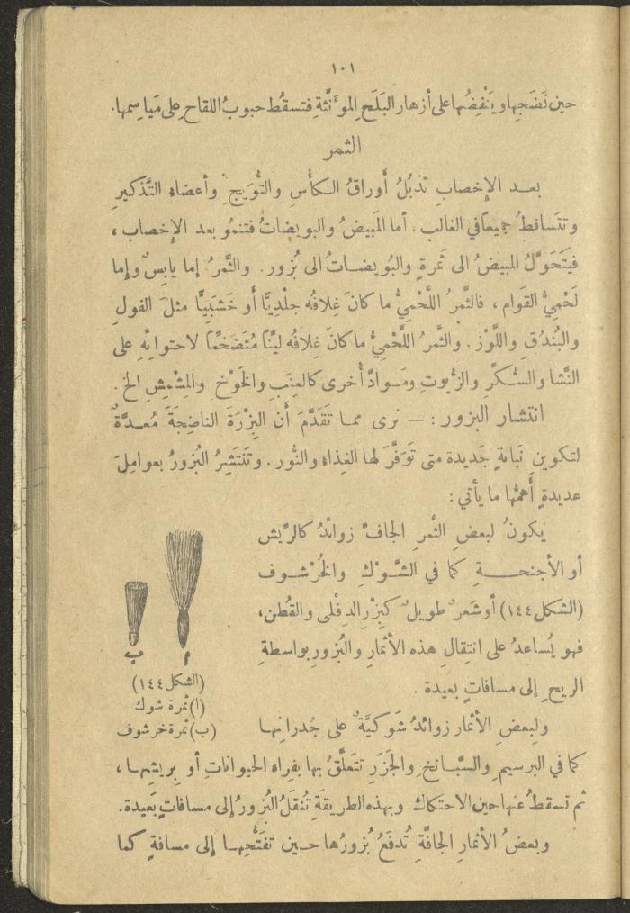 A Book in New Sciences, the 1920s and 1940s 