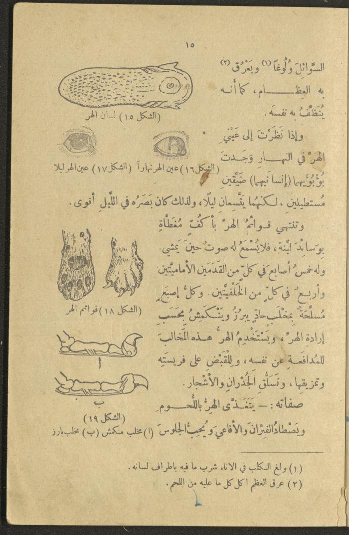 A Book in New Sciences, the 1920s and 1940s 