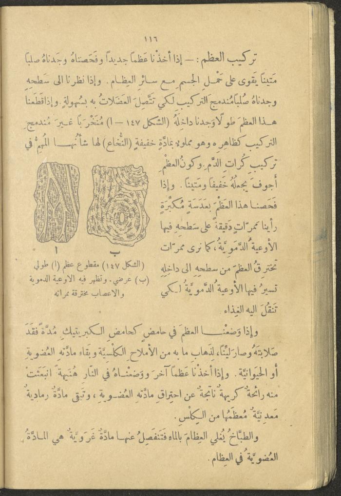 A Book in New Sciences, the 1920s and 1940s 