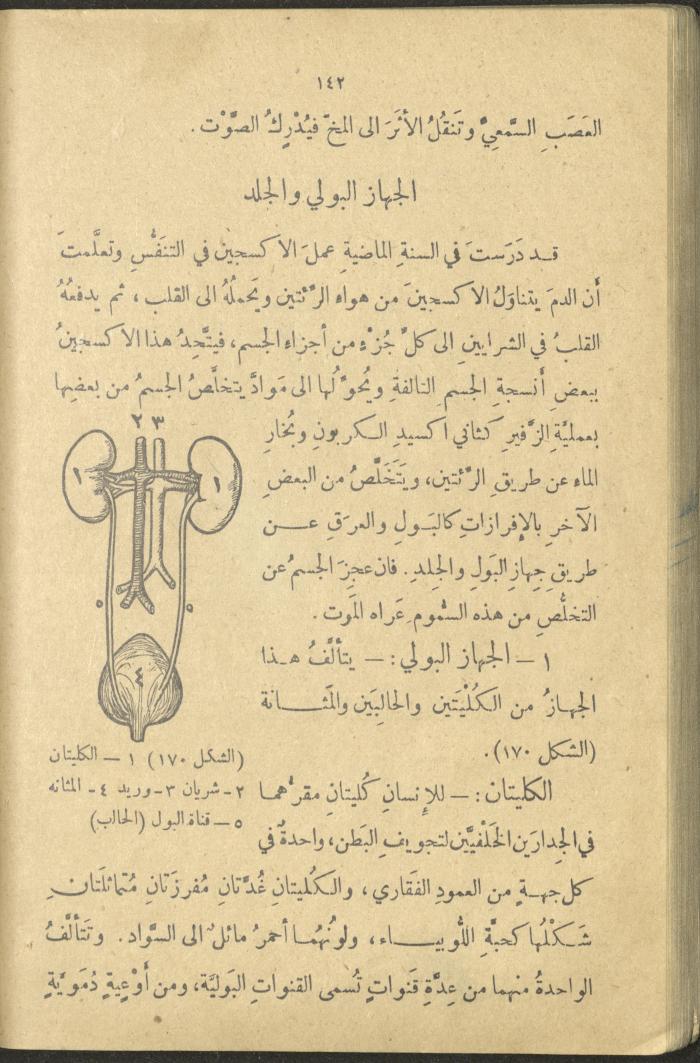 A Book in New Sciences, the 1920s and 1940s 