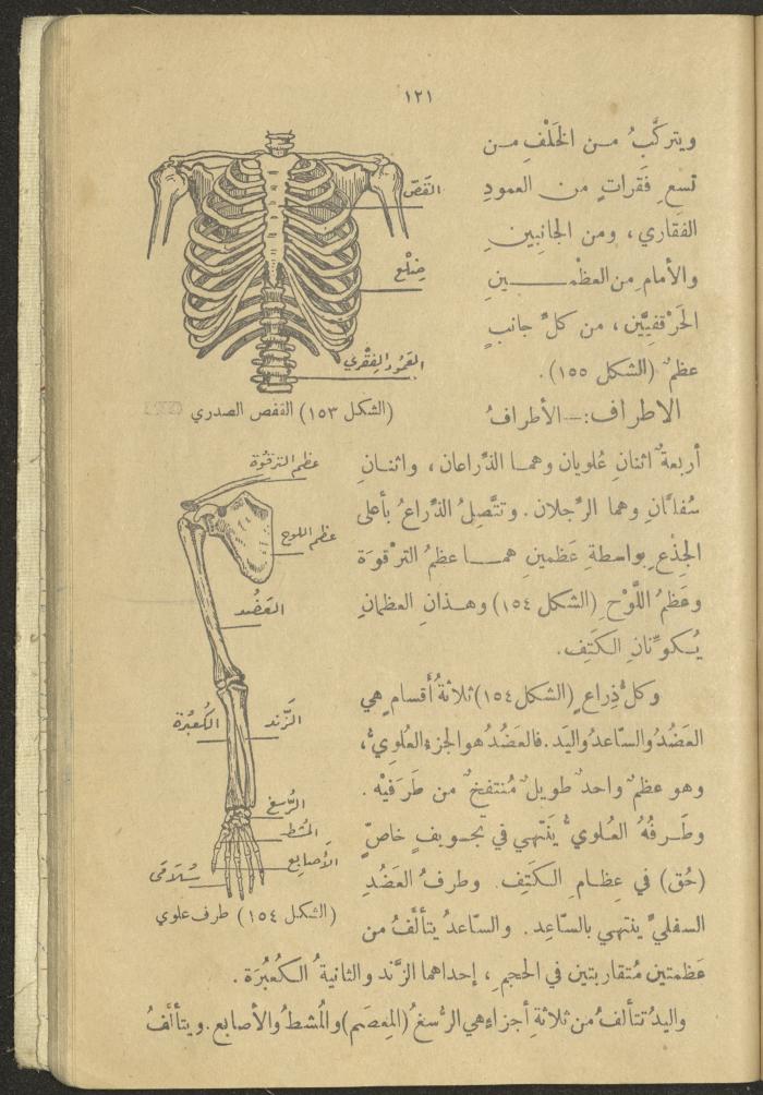 A Book in New Sciences, the 1920s and 1940s 