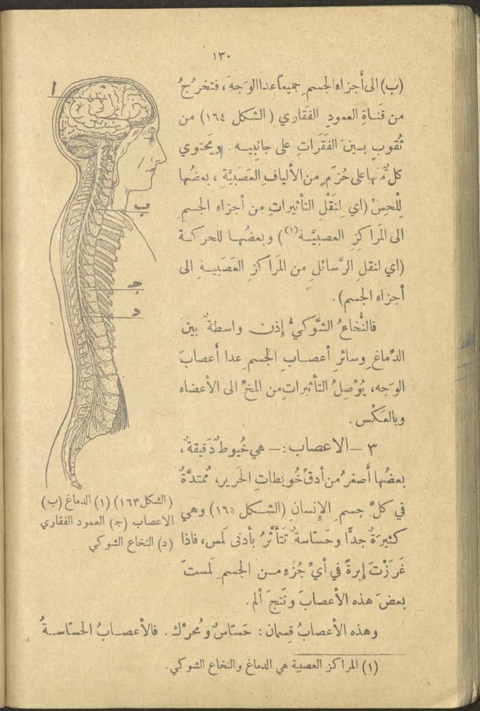 A Book in New Sciences, the 1920s and 1940s 