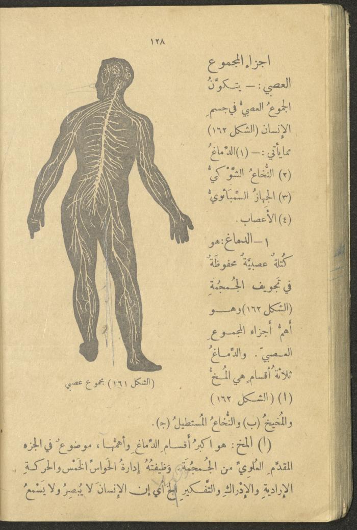 A Book in New Sciences, the 1920s and 1940s 