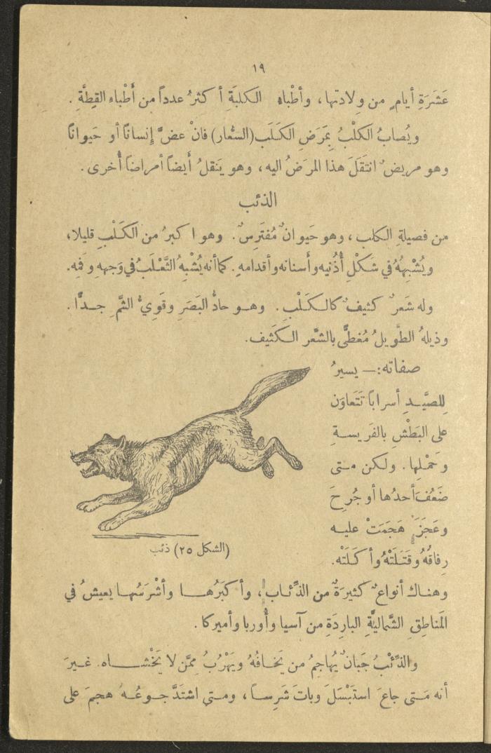 A Book in New Sciences, the 1920s and 1940s 
