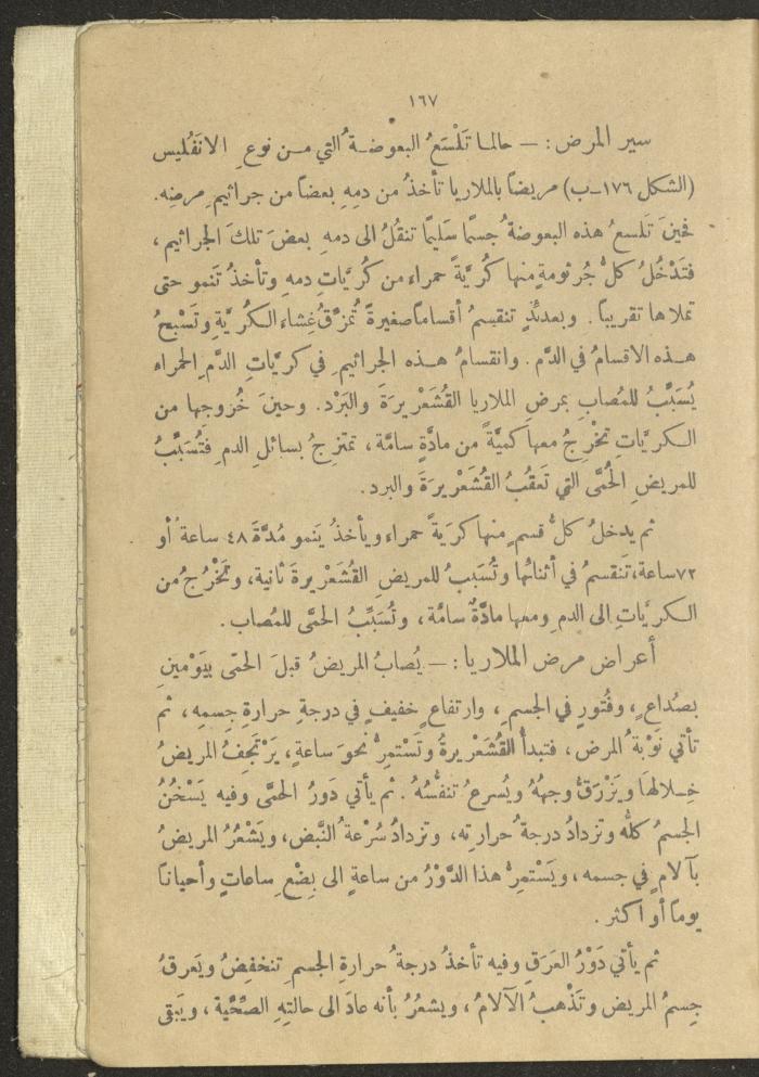 A Book in New Sciences, the 1920s and 1940s 