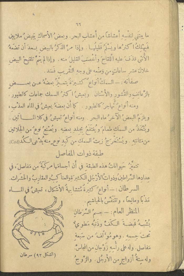 A Book in New Sciences, the 1920s and 1940s 