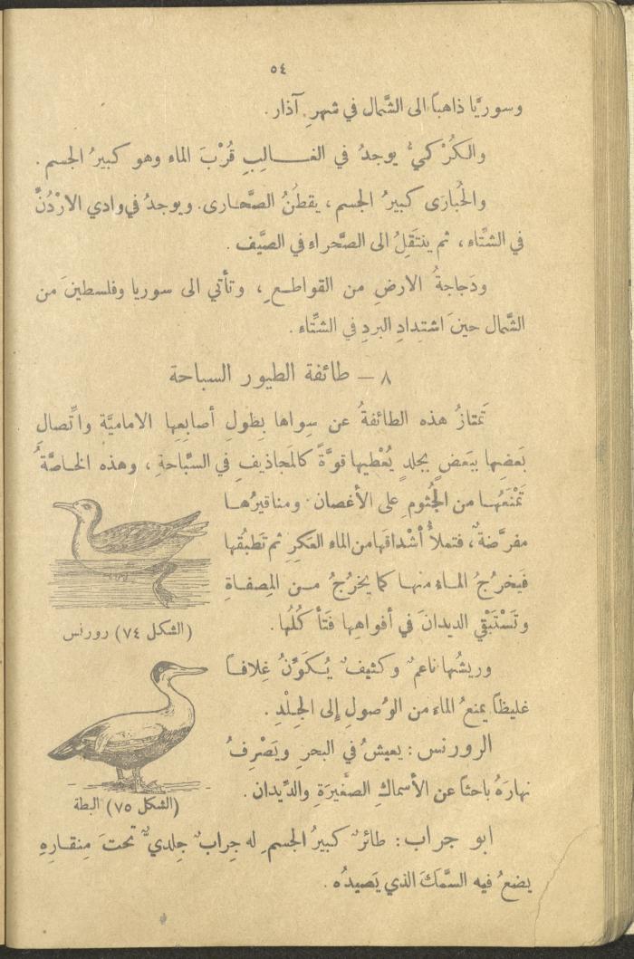 A Book in New Sciences, the 1920s and 1940s 