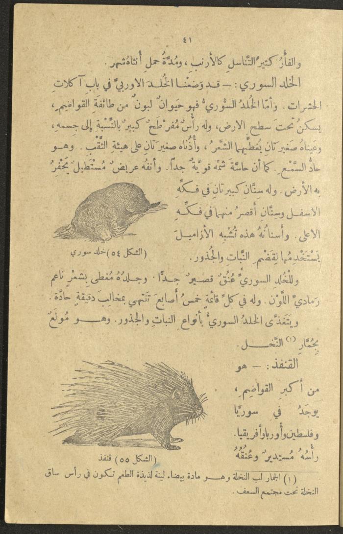 A Book in New Sciences, the 1920s and 1940s 
