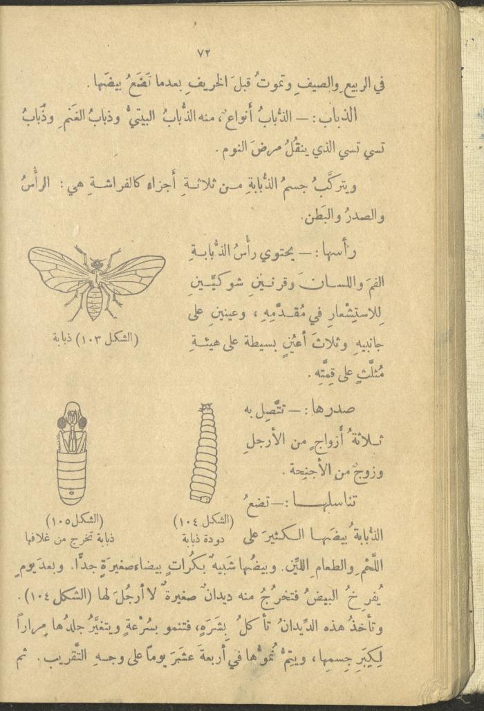 A Book in New Sciences, the 1920s and 1940s 
