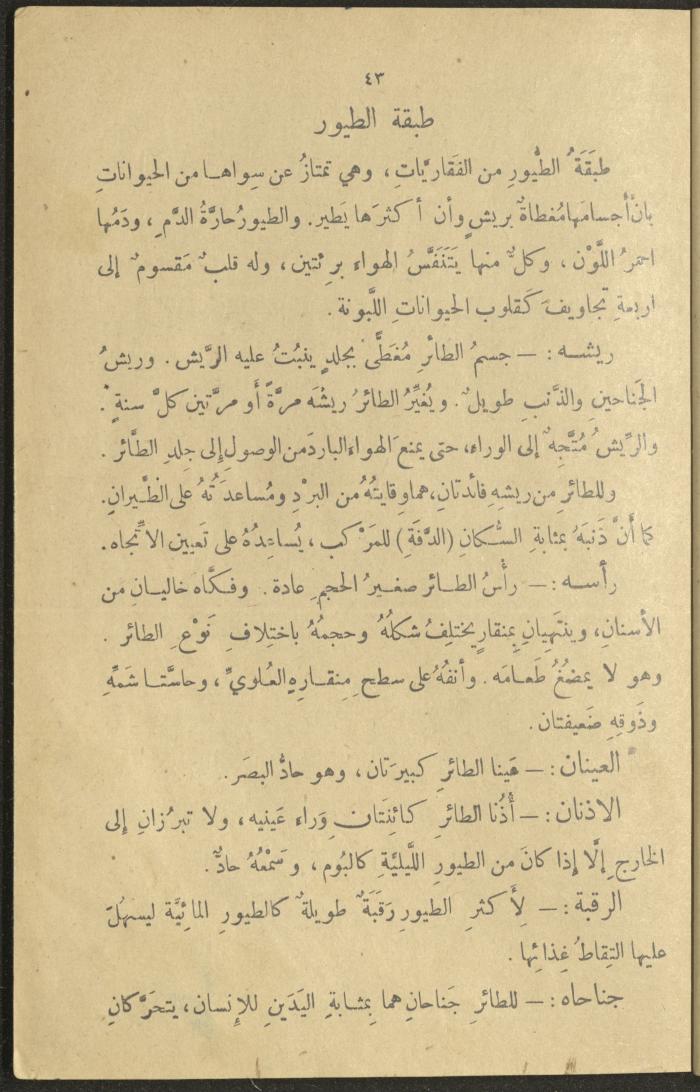 A Book in New Sciences, the 1920s and 1940s 