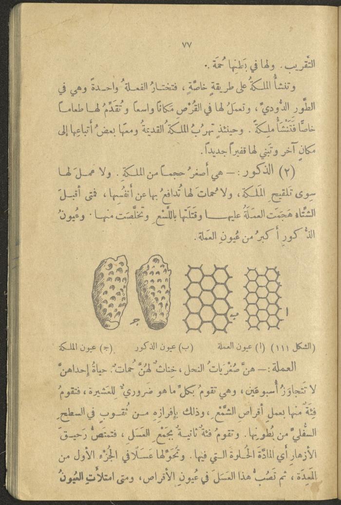 A Book in New Sciences, the 1920s and 1940s 