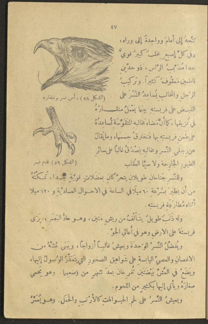 A Book in New Sciences, the 1920s and 1940s 
