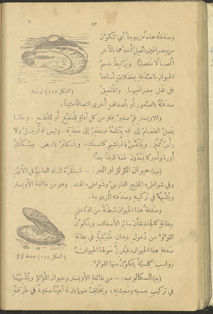 A Book in New Sciences, the 1920s and 1940s 