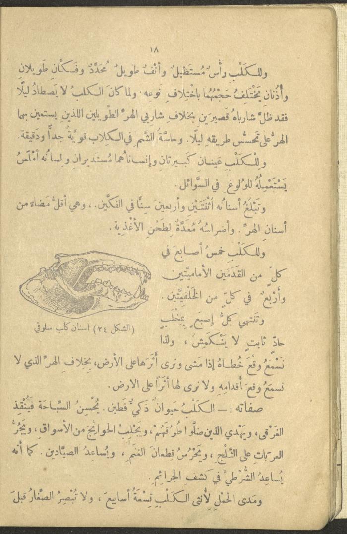 A Book in New Sciences, the 1920s and 1940s 