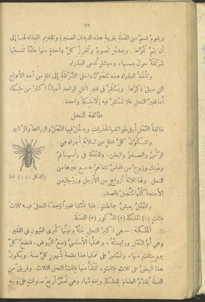 A Book in New Sciences, the 1920s and 1940s 