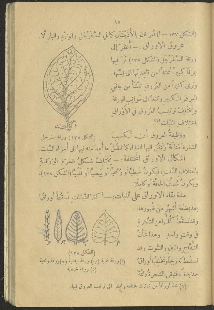 A Book in New Sciences, the 1920s and 1940s 
