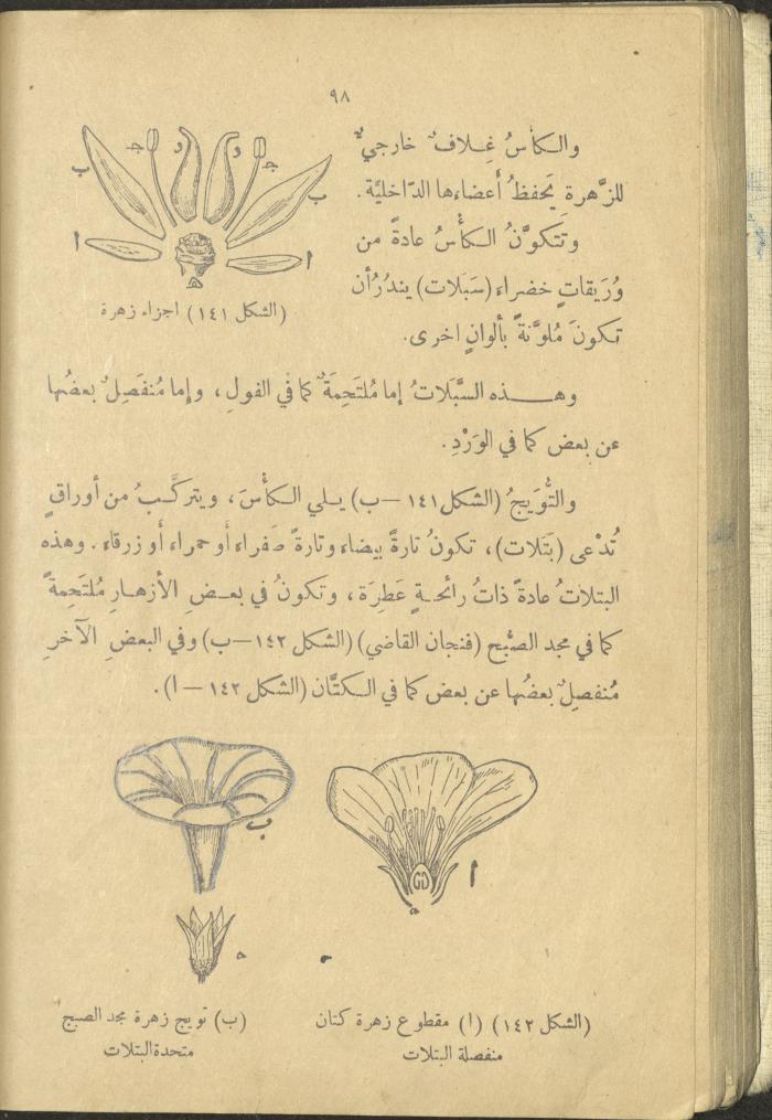 A Book in New Sciences, the 1920s and 1940s 