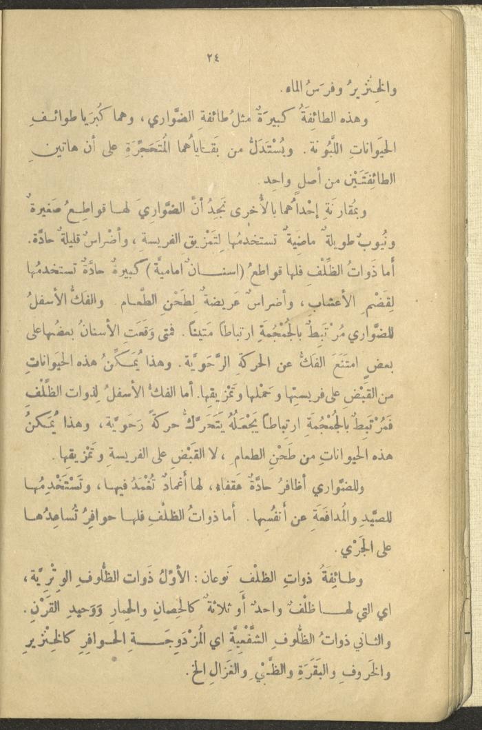A Book in New Sciences, the 1920s and 1940s 