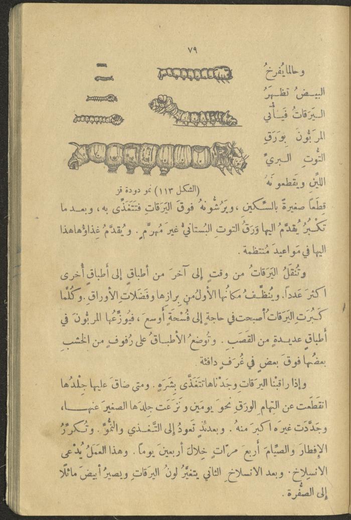 A Book in New Sciences, the 1920s and 1940s 