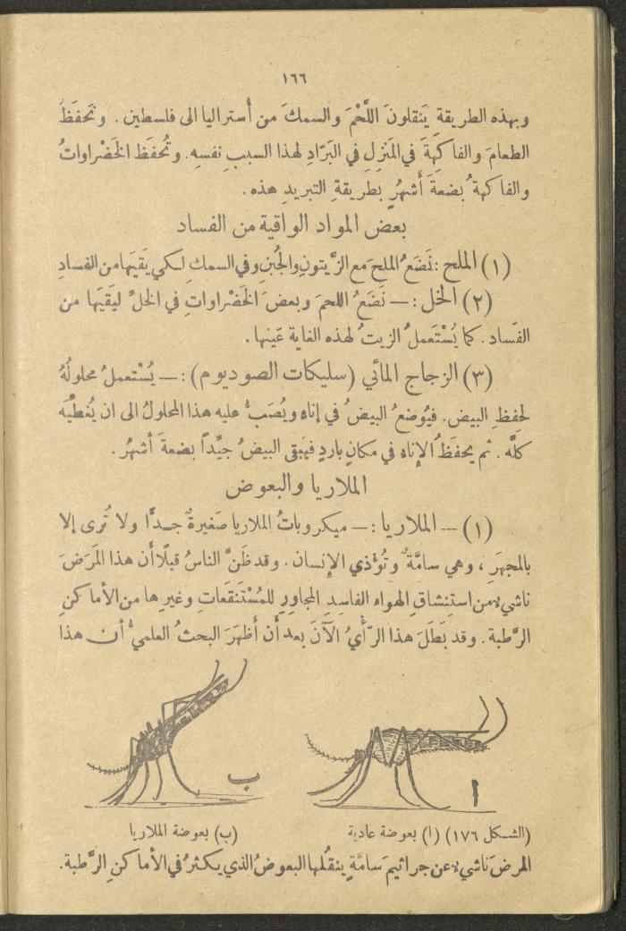 A Book in New Sciences, the 1920s and 1940s 