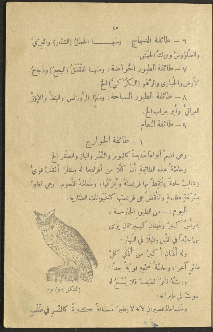 A Book in New Sciences, the 1920s and 1940s 