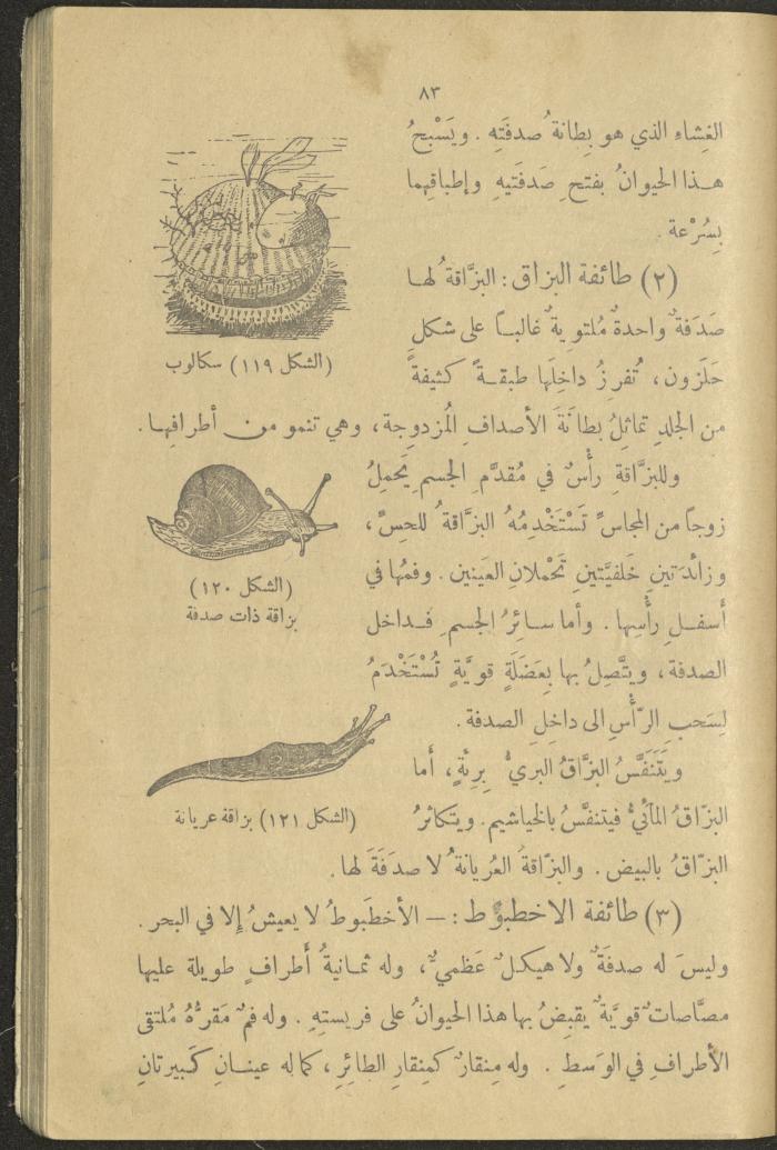 A Book in New Sciences, the 1920s and 1940s 