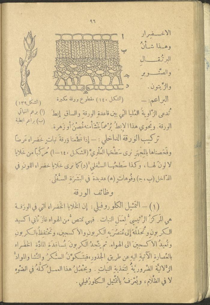 A Book in New Sciences, the 1920s and 1940s 