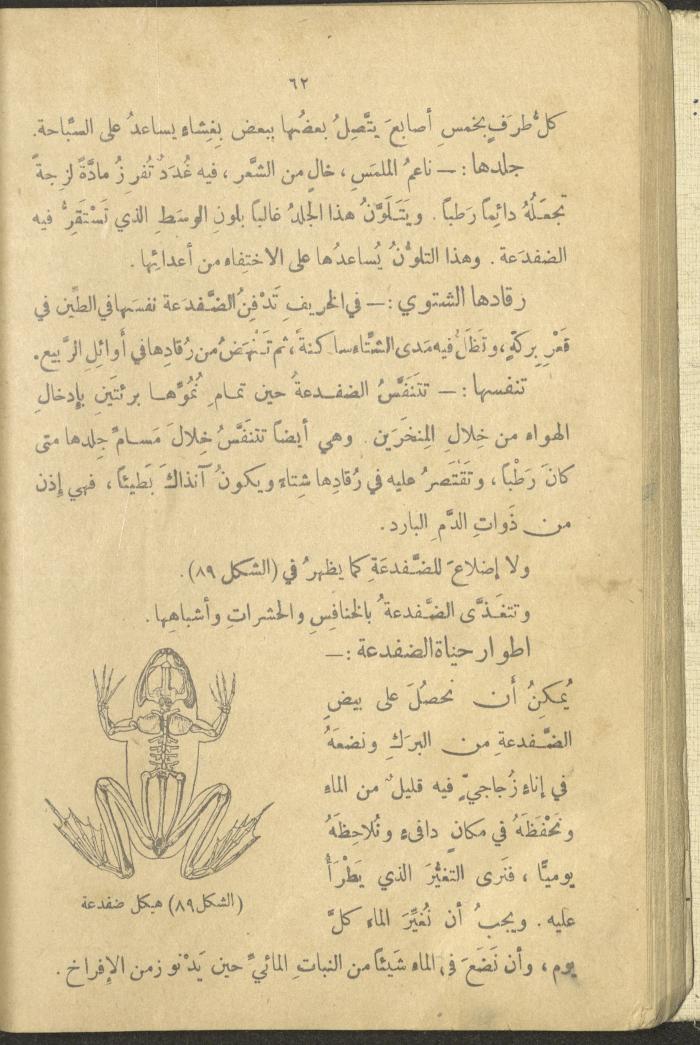 A Book in New Sciences, the 1920s and 1940s 