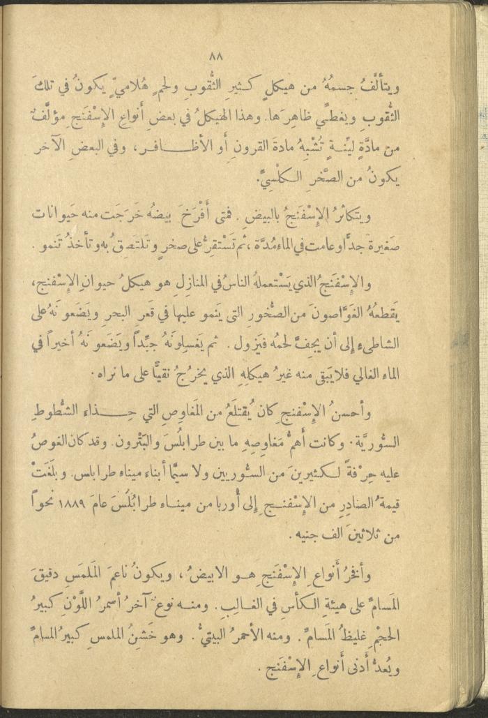 A Book in New Sciences, the 1920s and 1940s 